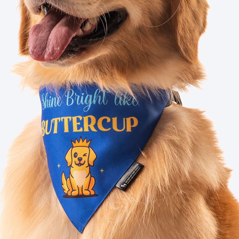 HUFT Personalised Shine Bright Like (Pet¢'¬€¦¡¬'¬¦¡¬'¬€¦¡¬'¬¦¾¢s Name) Bandana - Heads Up For Tails