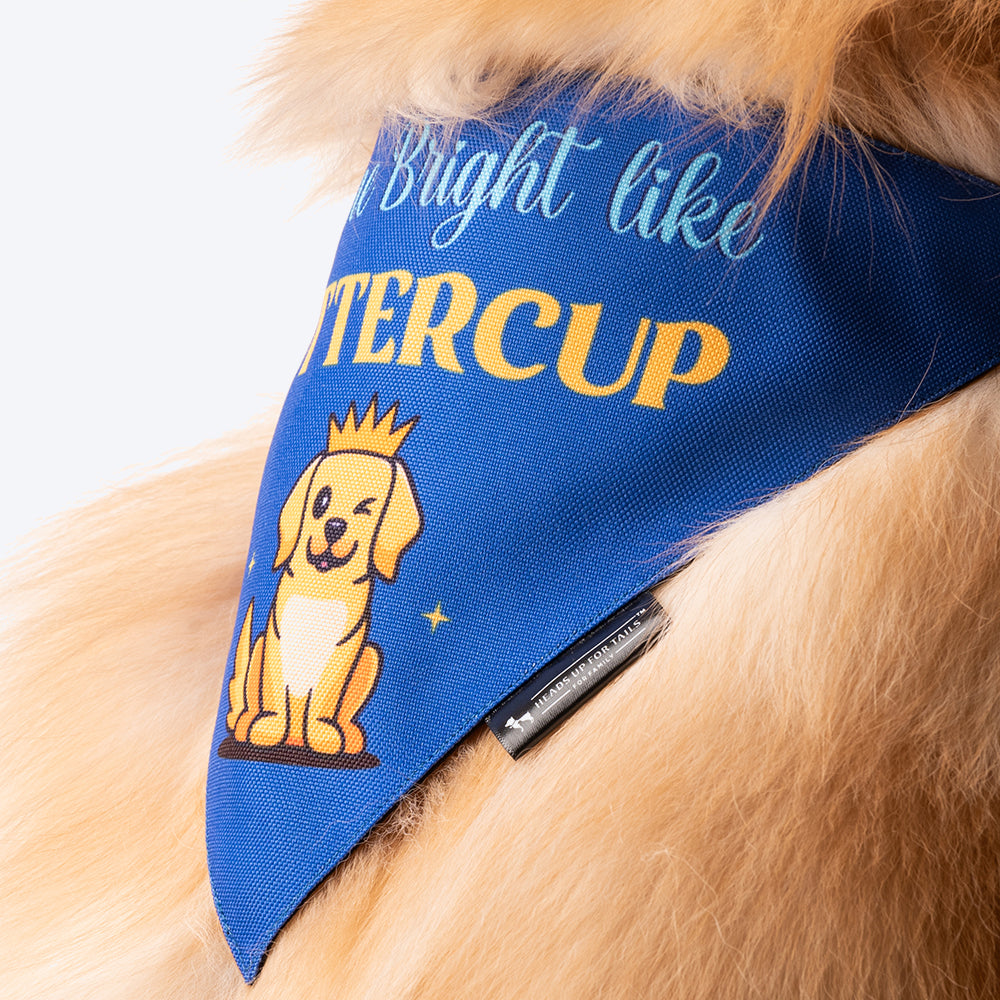 HUFT Personalised Shine Bright Like (Pet¢'¬€¦¡¬'¬¦¡¬'¬€¦¡¬'¬¦¾¢s Name) Bandana - Heads Up For Tails