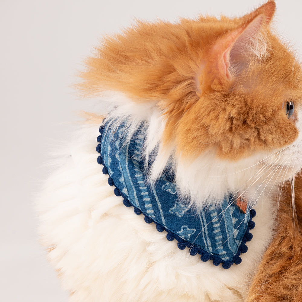 HUFT The Indian Collective Pankti Indigo Cat Bandana - Heads Up For Tails