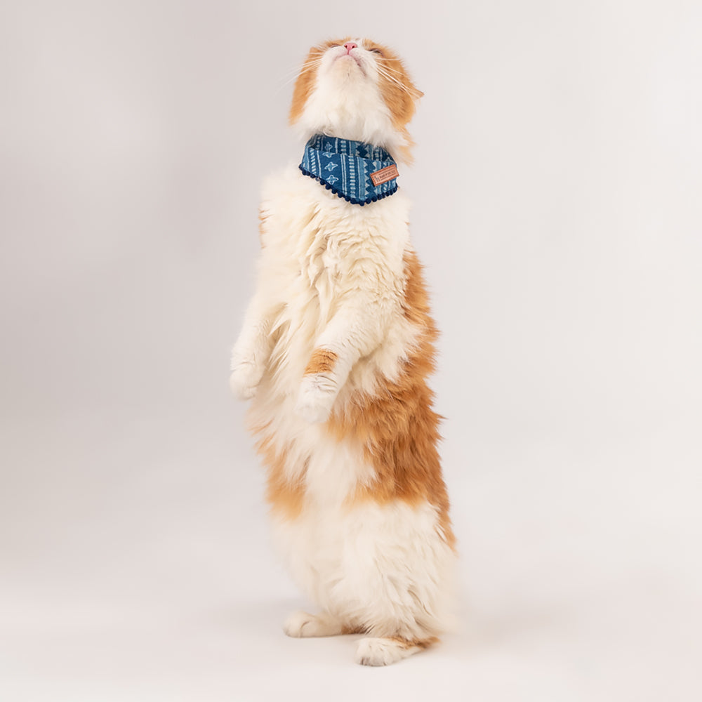 HUFT The Indian Collective Pankti Indigo Cat Bandana - Heads Up For Tails