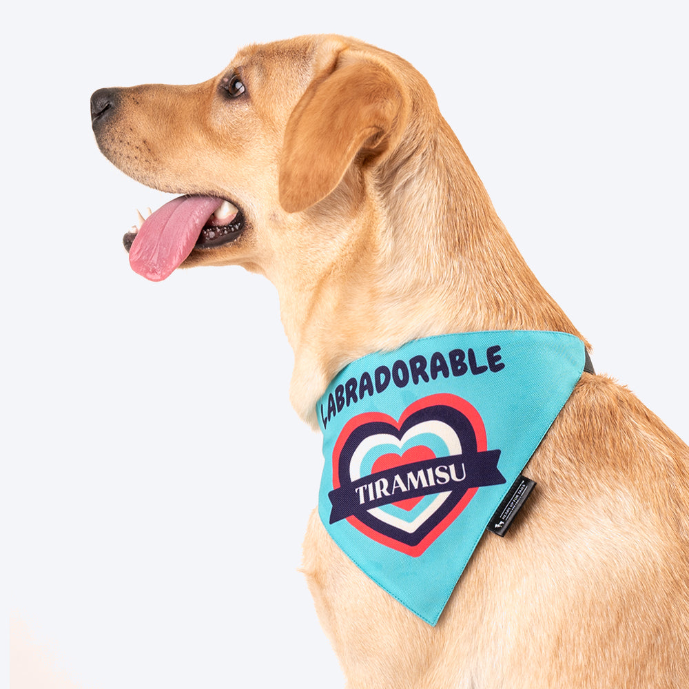 HUFT Personalised Labradorable (Pet¢'¬€¦¡¬'¬¦¡¬'¬€¦¡¬'¬¦¾¢s Name) Bandana - Heads Up For Tails