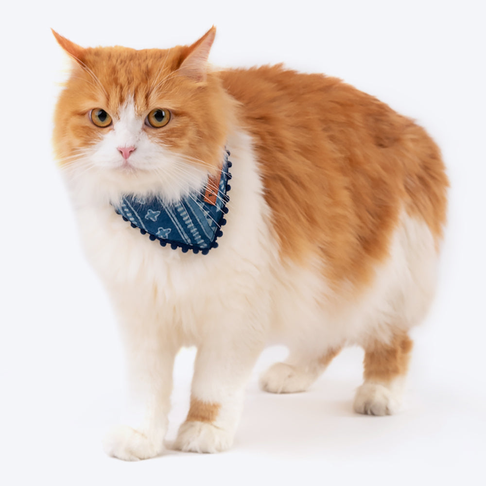 HUFT The Indian Collective Pankti Indigo Cat Bandana - Heads Up For Tails