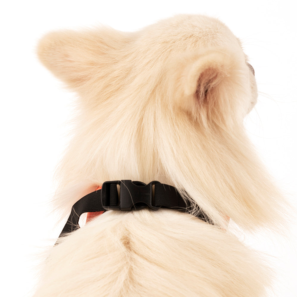 HUFT Personalised Party Starter Birthday Dog Bandana - Coral - Heads Up For Tails