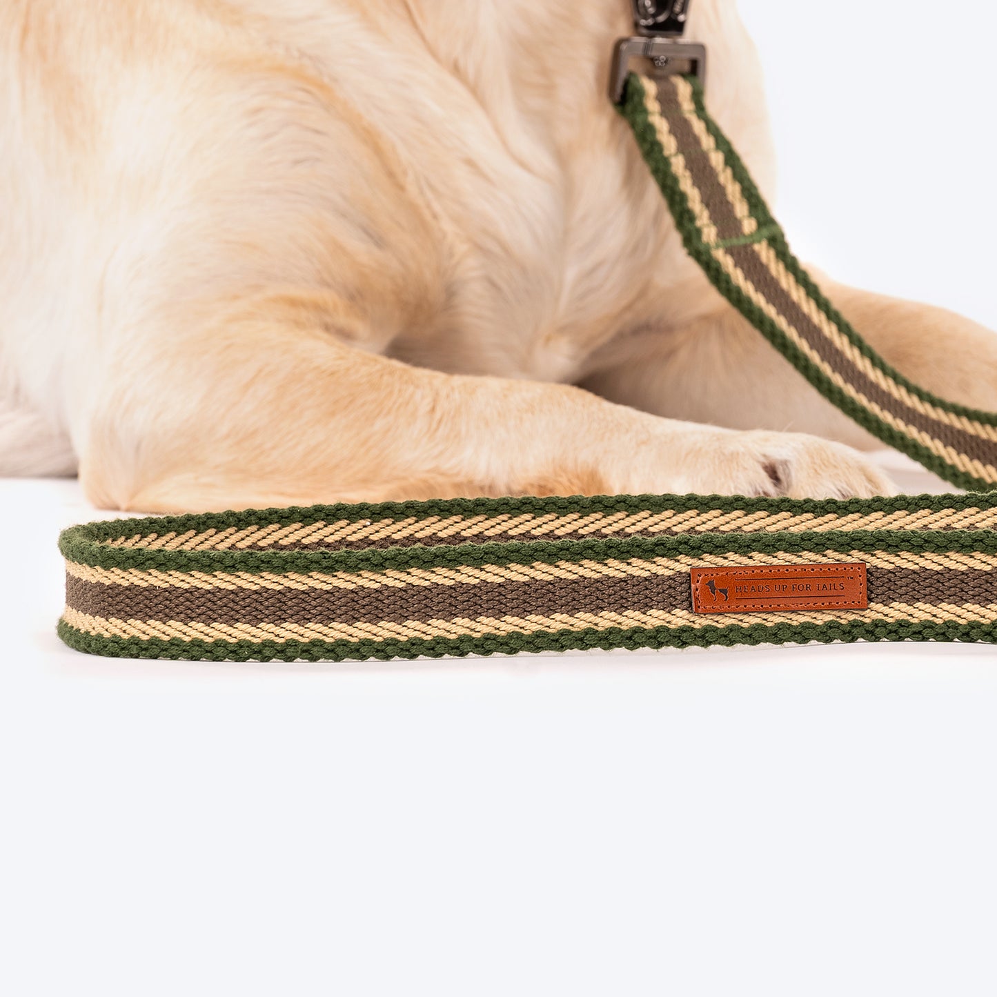 HUFT Olive Odyssey Dog Leash - Olive Green & Beige_05