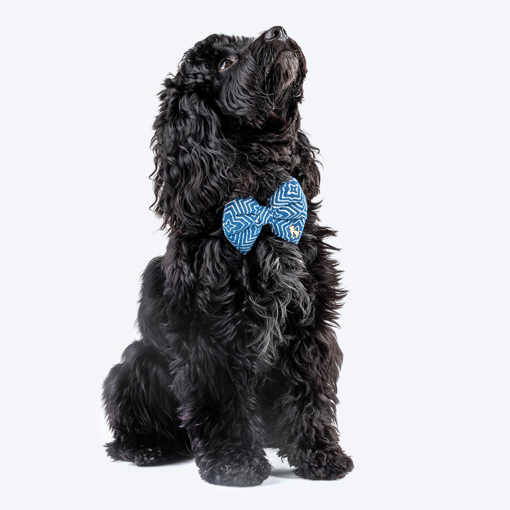HUFT The Indian Collective Utsav Indigo Dog Bowtie With Strap - Heads Up For Tails