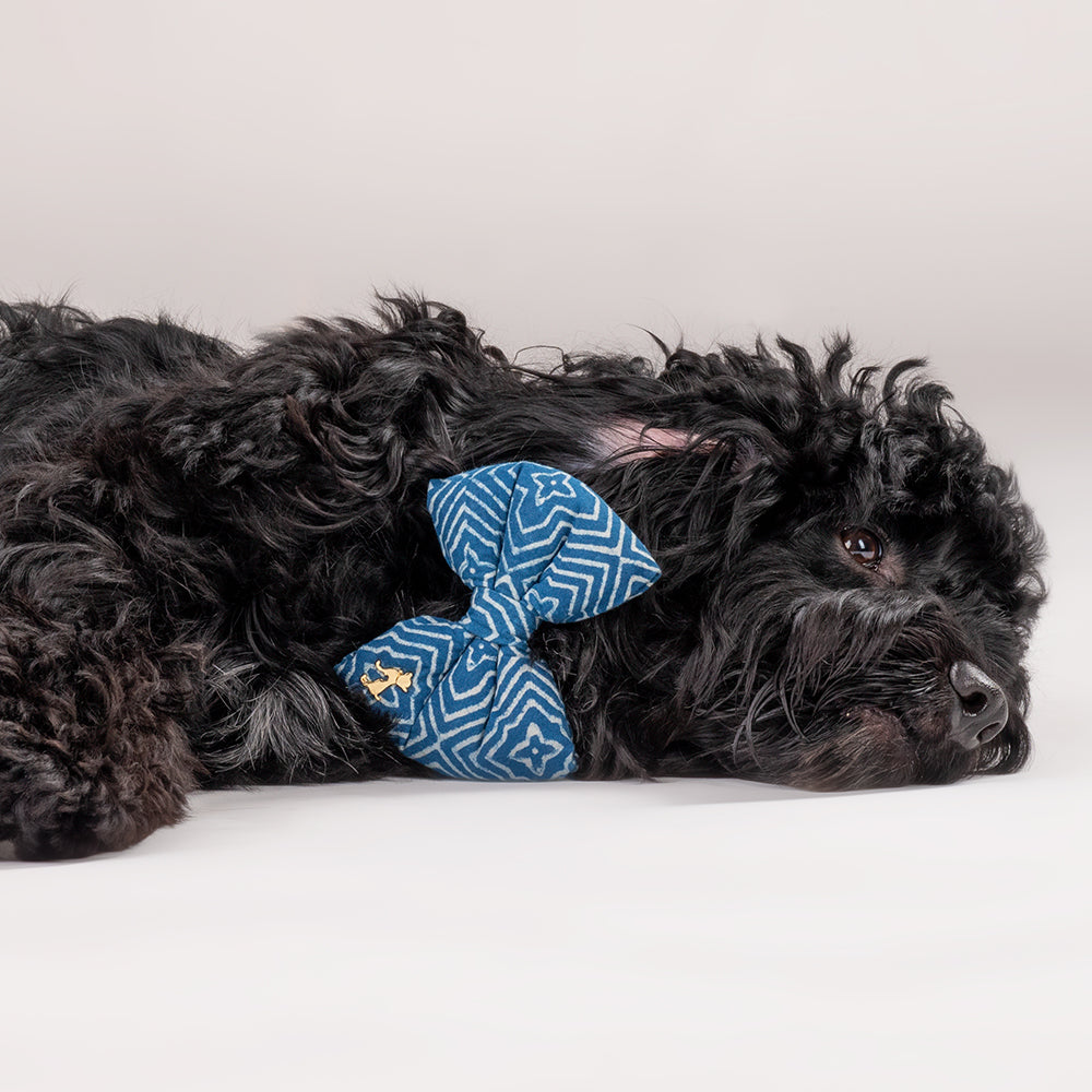 HUFT The Indian Collective Utsav Indigo Dog Bowtie With Strap - Heads Up For Tails