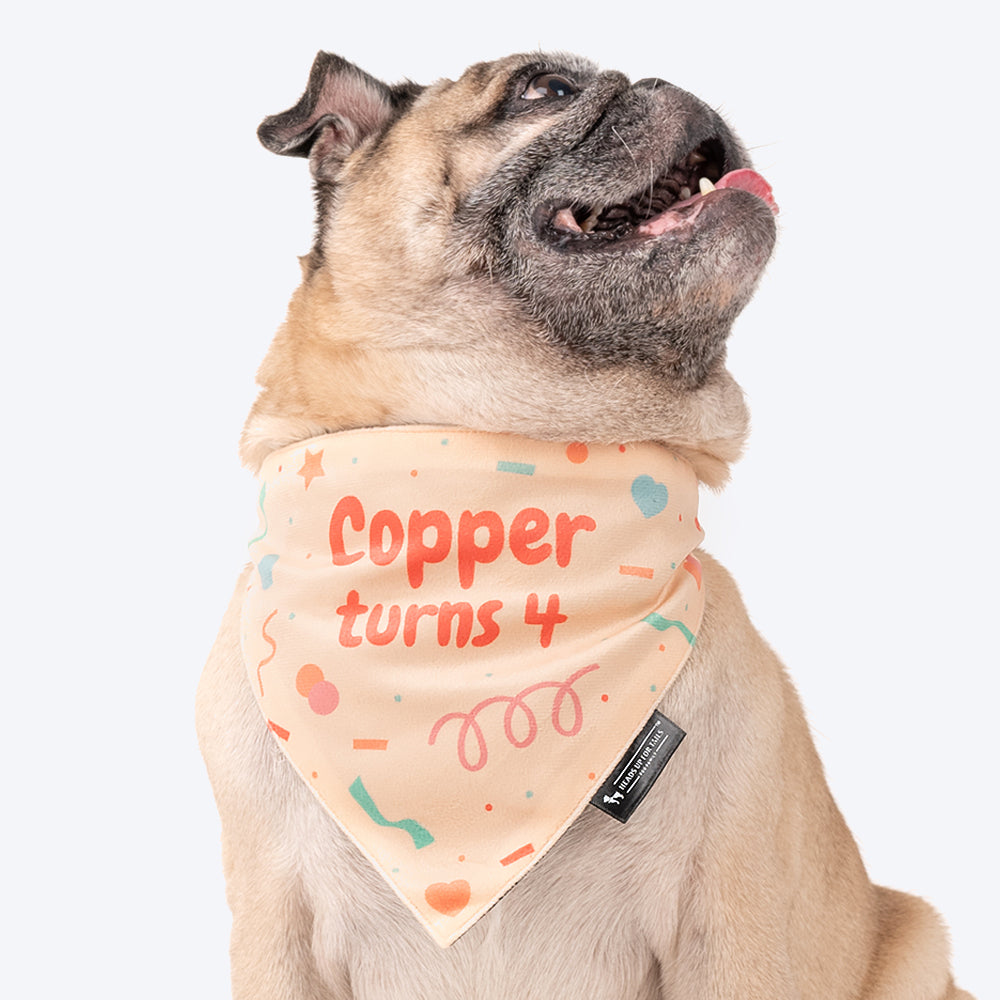 HUFT Personalised Birthday Cheer Dog Bandana - Beige - Heads Up For Tails