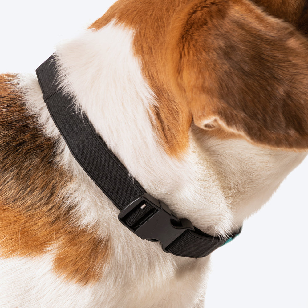 HUFT Personalised The Beagles (Pet¢‚¬Å¡¬€¦¡¬‚¬Å¡¬€¦¾¢s Name) Bandana - Heads Up For Tails