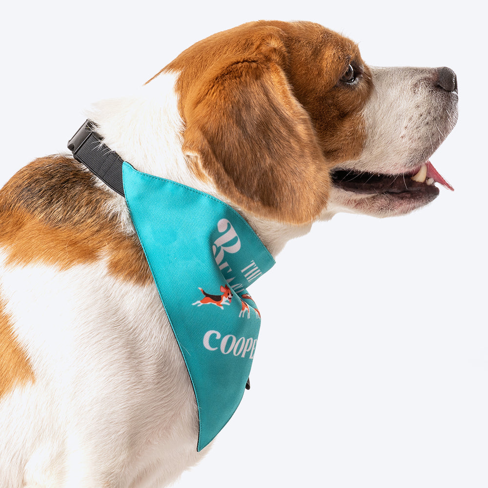 HUFT Personalised The Beagles (Pet¢'¬€¦¡¬'¬¦¡¬'¬€¦¡¬'¬¦¾¢s Name) Bandana - Heads Up For Tails