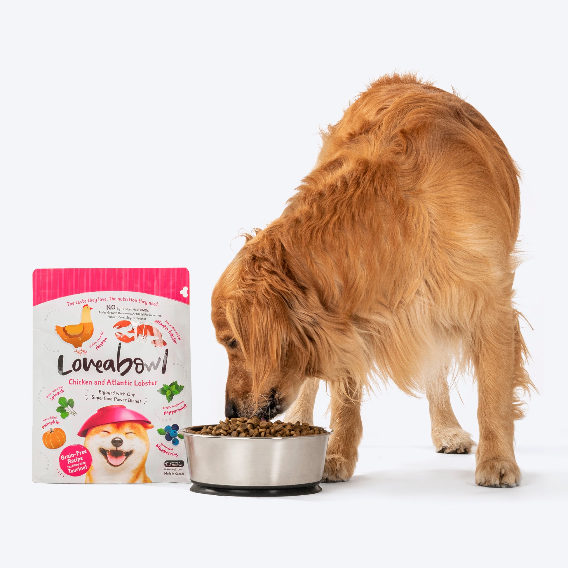 Loveabowl Grain Free Chicken With Atlantic Lobster Gut-Friendly Dog Dry Food - Heads Up For Tails