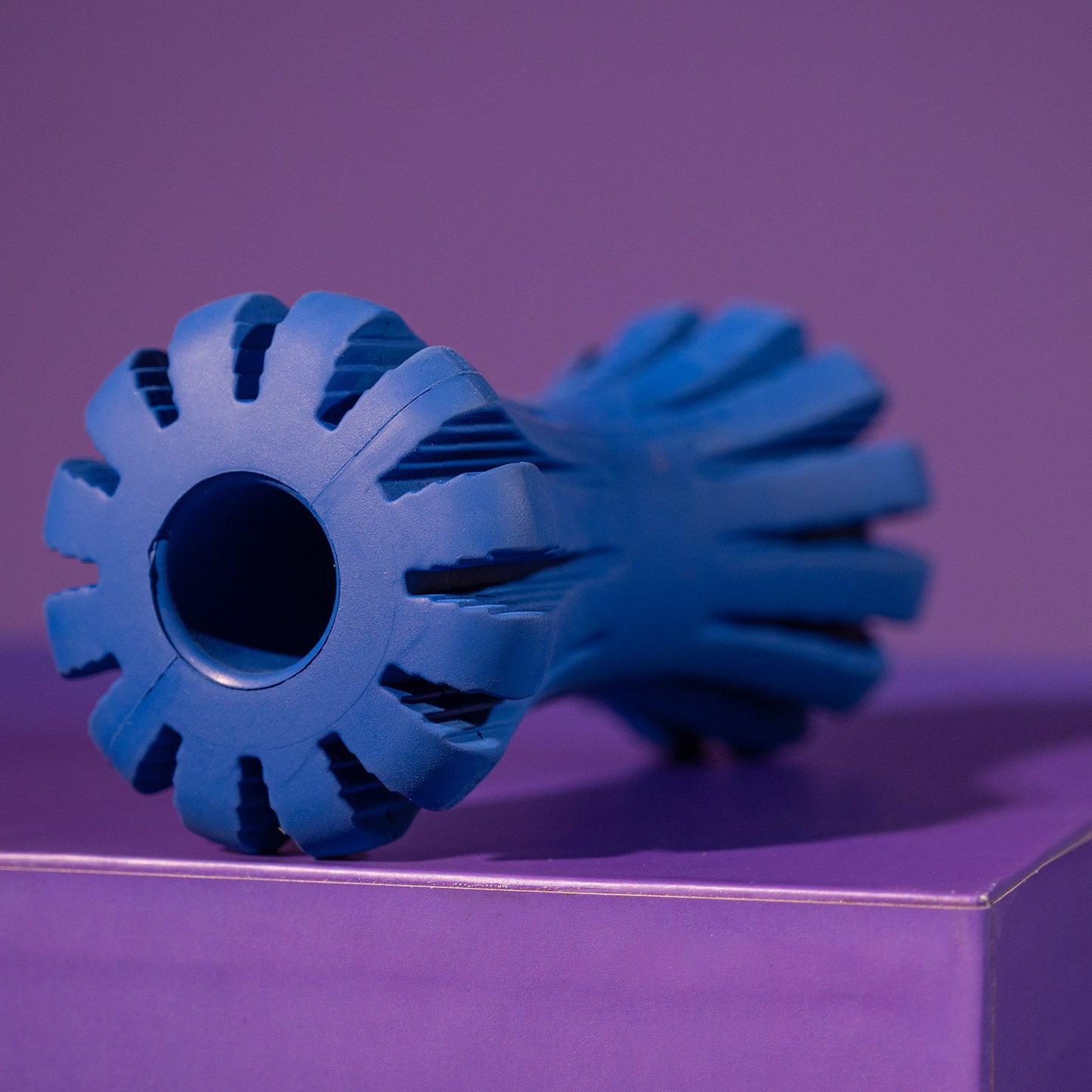 Dash Dog Drum Chew Dog Toy - Blue_06