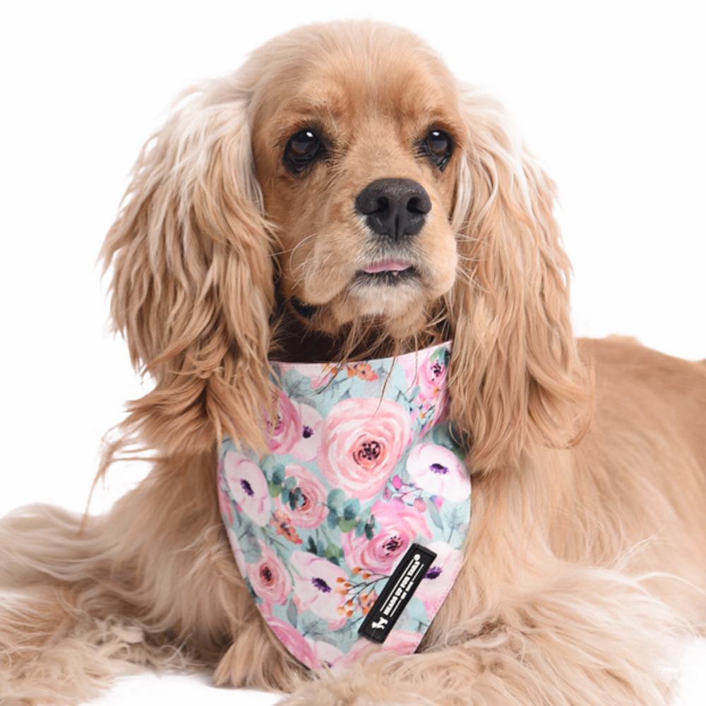 HUFT Roses and Hearts Reversible Dog Bandana3