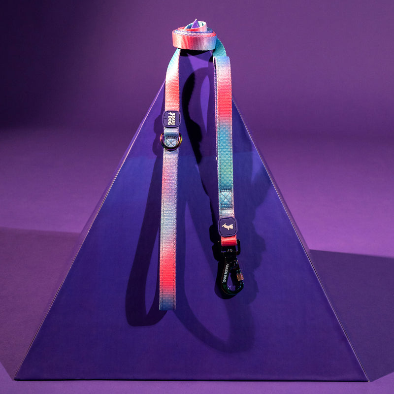 Dash Dog Flow Printed Leash - Violet & Red - Heads Up For Tails