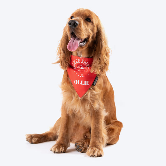 HUFT Personalised Rocker Spaniel (Pet is Name) Bandana - Heads Up For Tails