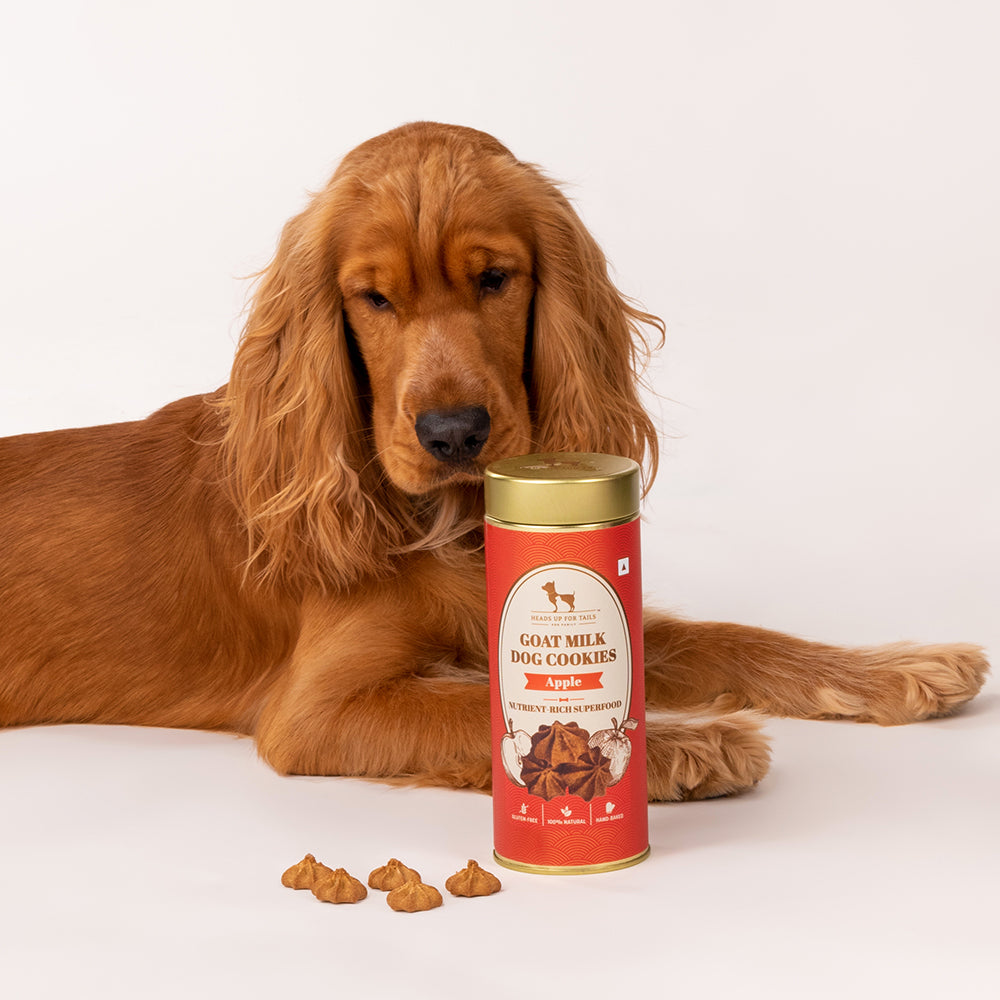 HUFT Goat Milk Dog Cookies - Apple - Heads Up For Tails