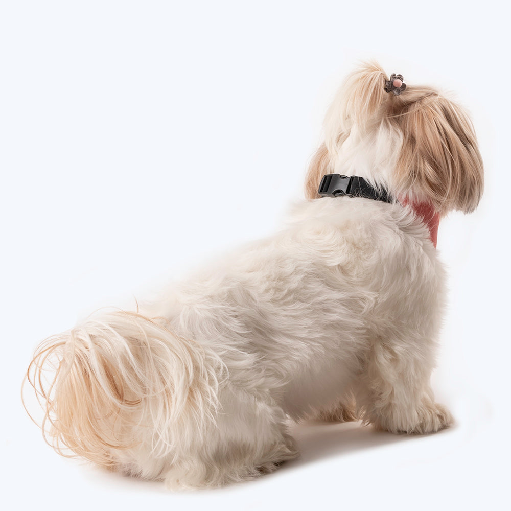 HUFT Personalised Join The Queue To Pet This Shih-Tzu (Pet¢'¬€¦¡¬'¬¦¡¬'¬€¦¡¬'¬¦¾¢s Name) Bandana - Heads Up For Tails