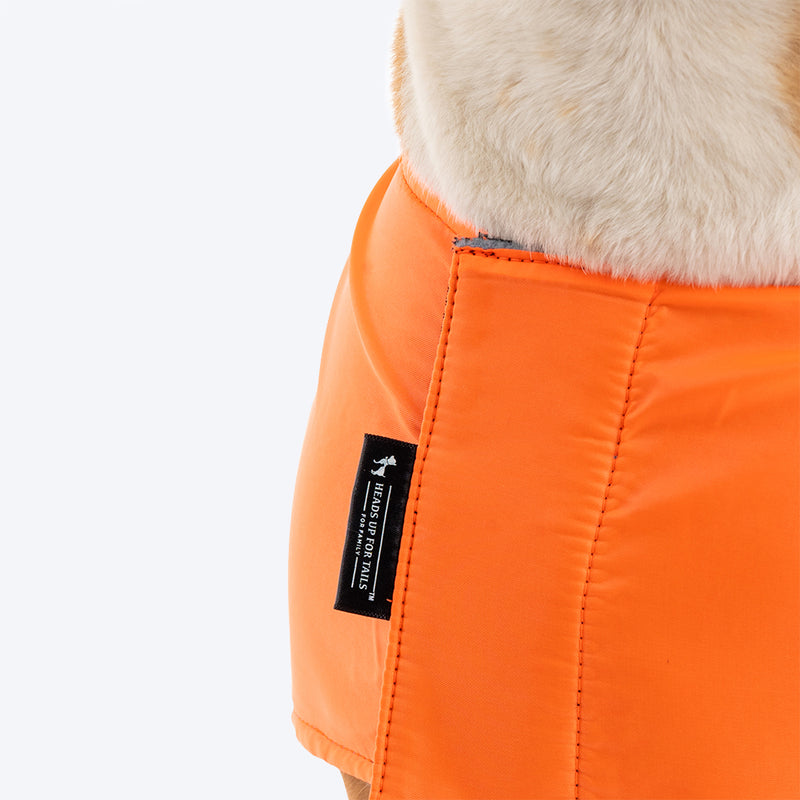 HUFT Snuggle Streetie Foundation Dog Jacket - Pack Of 3 - Heads Up For Tails