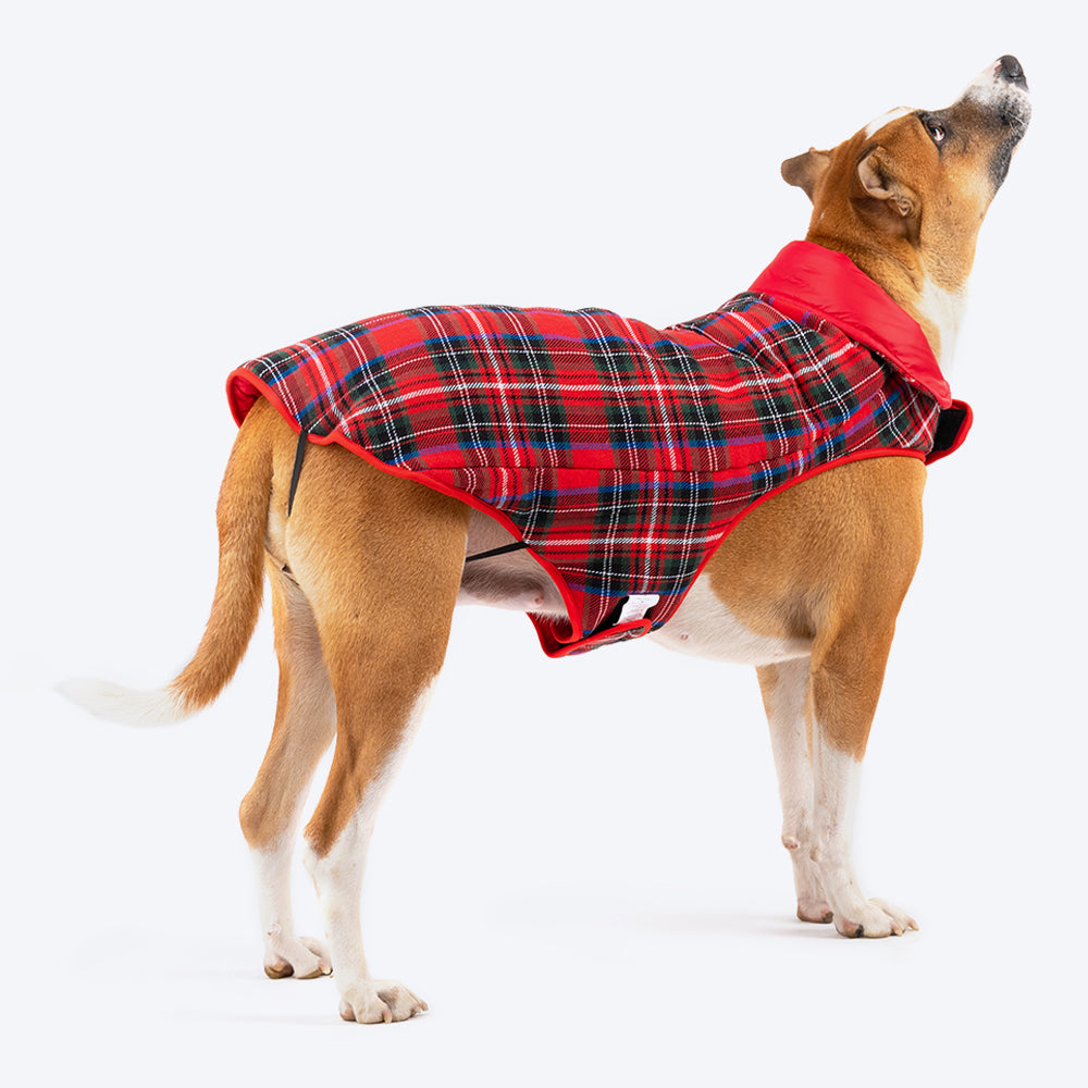 HUFT Wintersong Reversible Dog Jacket - Red - Heads Up For Tails
