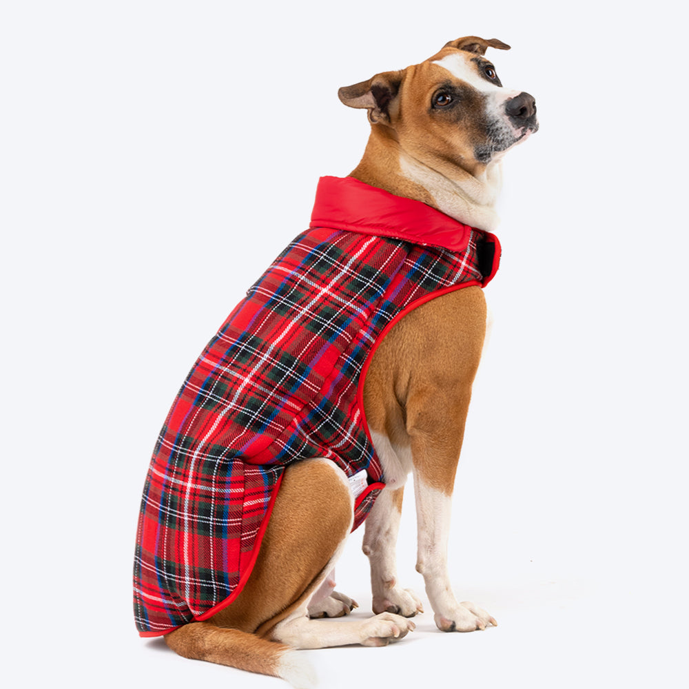 HUFT Wintersong Reversible Dog Jacket - Red - Heads Up For Tails