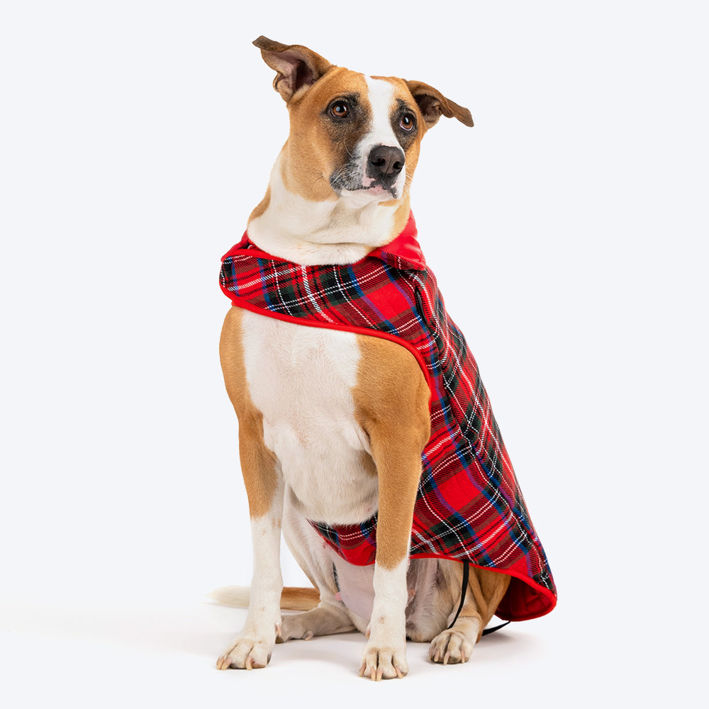 HUFT Wintersong Reversible Dog Jacket - Red - Heads Up For Tails