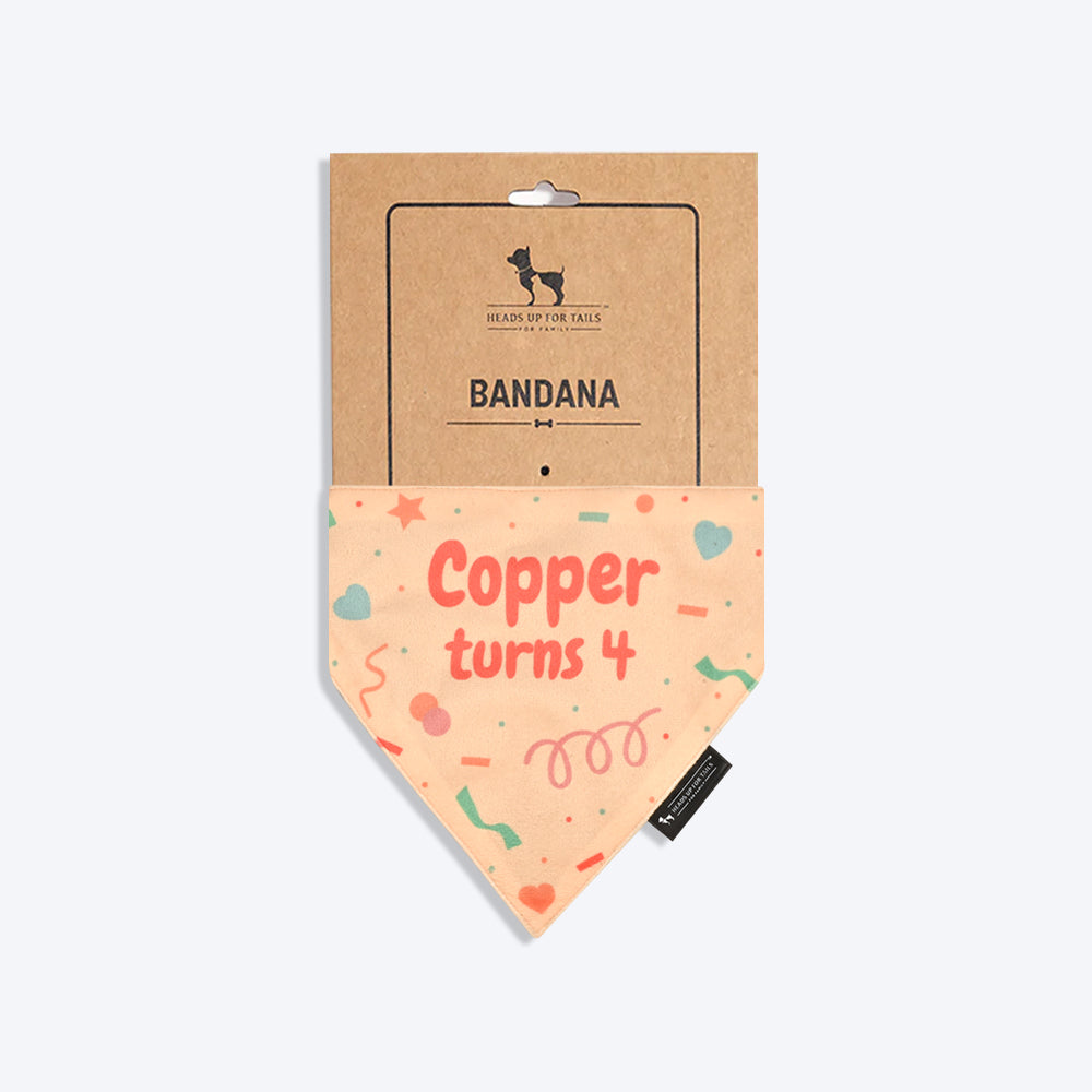 HUFT Personalised Birthday Cheer Dog Bandana - Beige - Heads Up For Tails