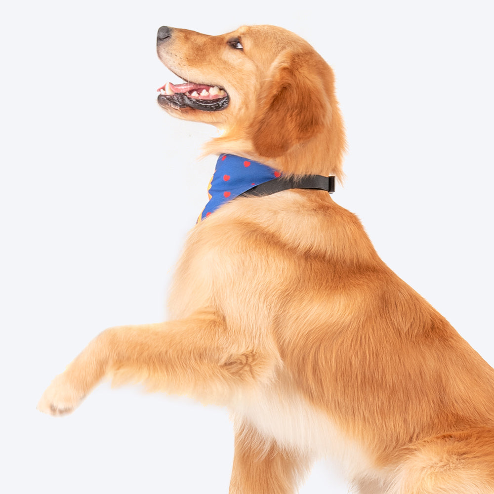 HUFT Personalised Brother - Pawtector & Keeper of Secrets Bandana - Heads Up For Tails