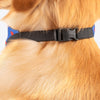 HUFT Personalised Brother - Pawtector & Keeper of Secrets Bandana - Heads Up For Tails