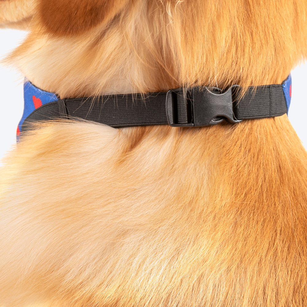 HUFT Personalised Brother - Pawtector & Keeper of Secrets Bandana - Heads Up For Tails