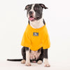 HUFT Best Dog Ever Pet Sweatshirt - Yellow - Heads Up For Tails