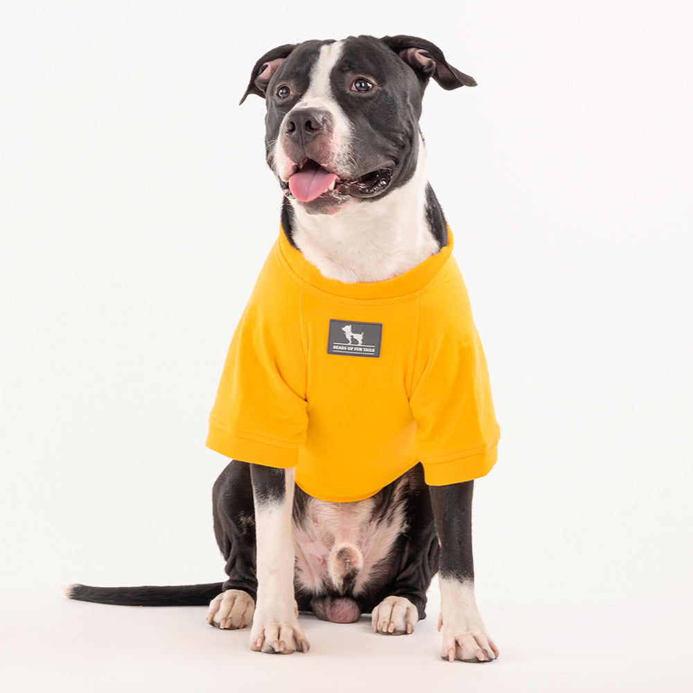 HUFT Best Dog Ever Pet Sweatshirt - Yellow - Heads Up For Tails