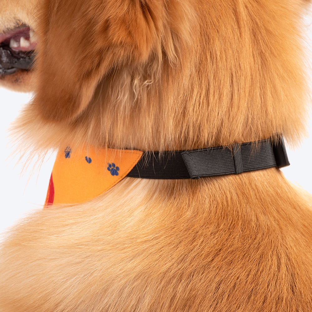 HUFT Bro - Steals Treats & Hearts Dog Bandana - Heads Up For Tails