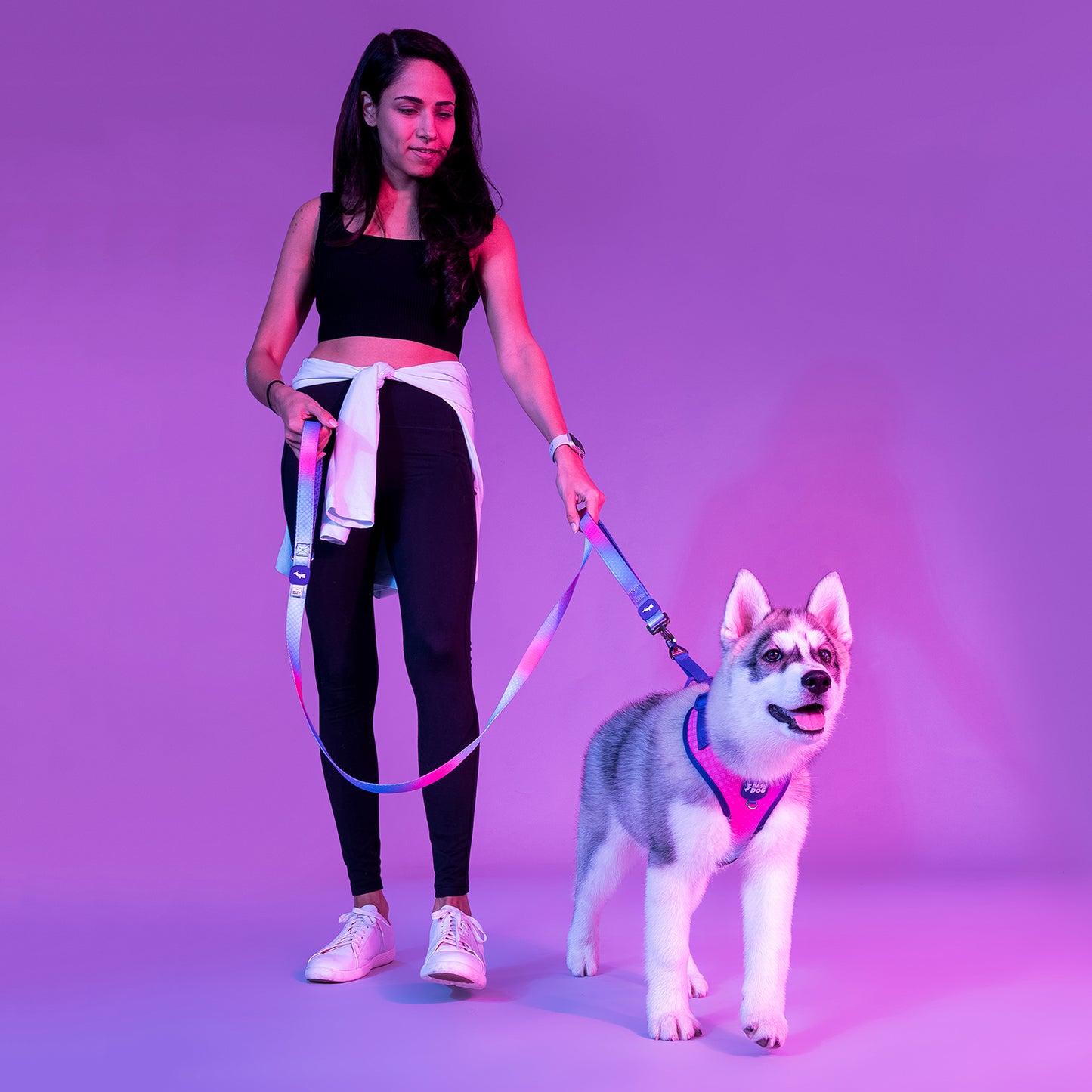 Dash Dog Flow Easy Walk Harness - Aqua Blue & Pink - Heads Up For Tails