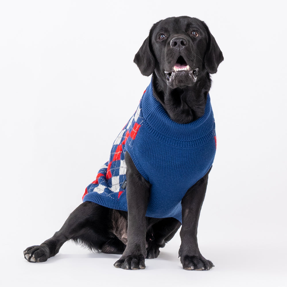 HUFT Argyle Pet Sweater - Red/Blue - Heads Up For Tails
