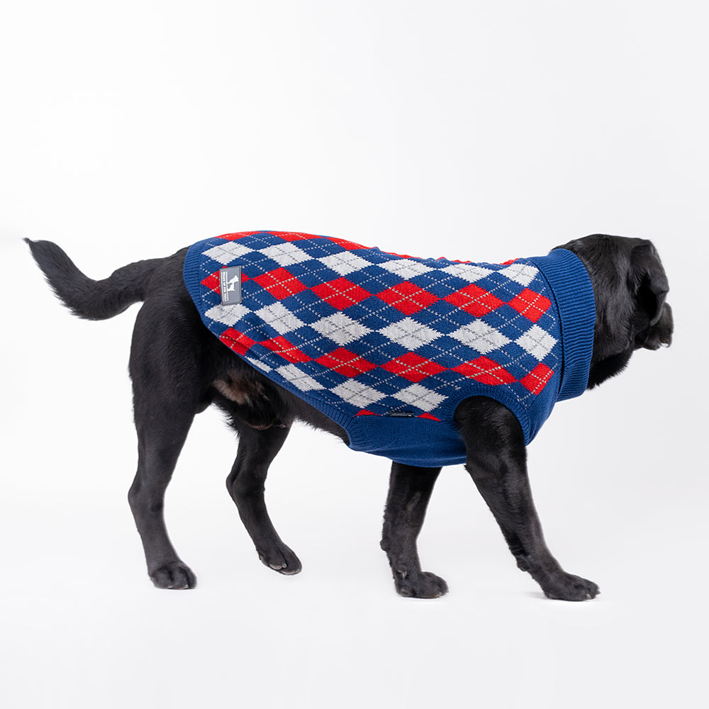 HUFT Argyle Pet Sweater - Red/Blue - Heads Up For Tails