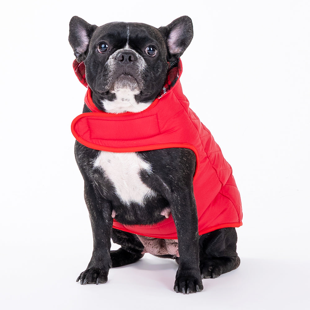 HUFT Wintersong Reversible Dog Jacket - Red - Heads Up For Tails