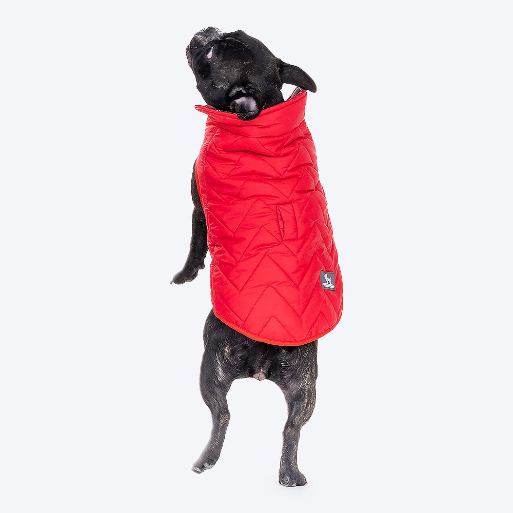 HUFT Wintersong Reversible Dog Jacket - Red - Heads Up For Tails