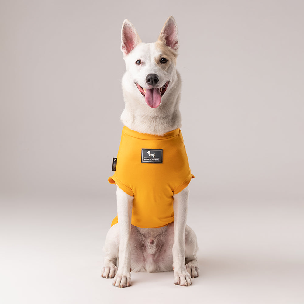 HUFT Desi Dawg T-shirt - Heads Up For Tails