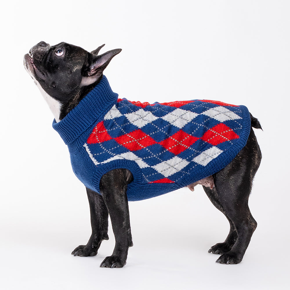 HUFT Argyle Pet Sweater - Red/Blue - Heads Up For Tails