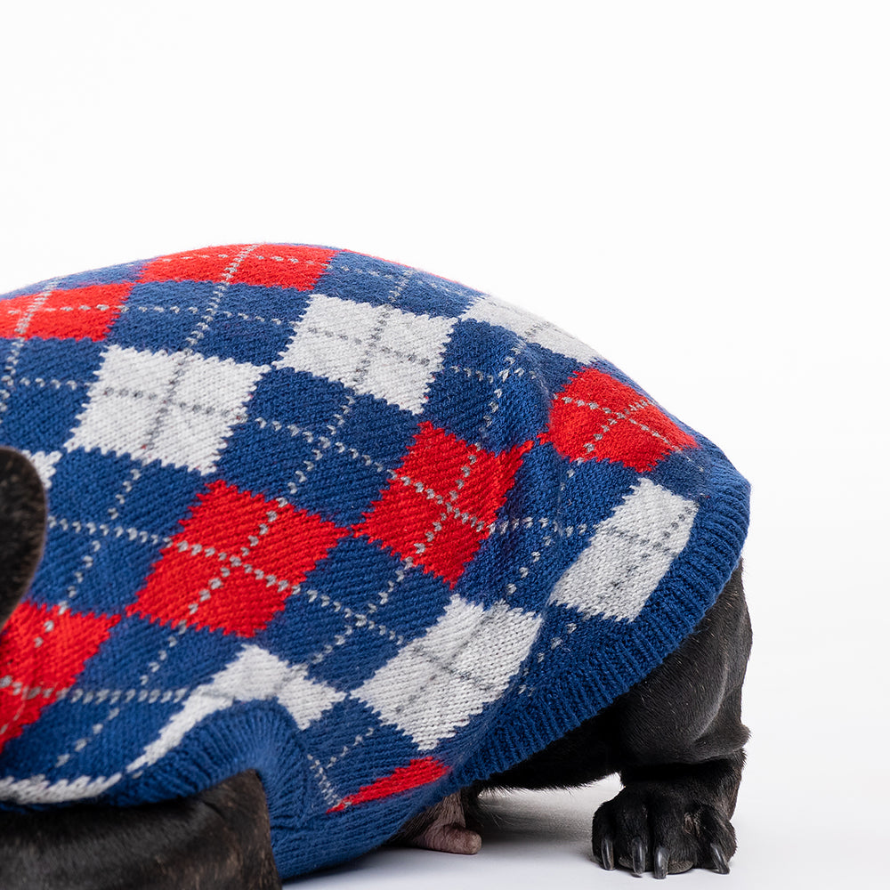 HUFT Argyle Pet Sweater - Red/Blue - Heads Up For Tails