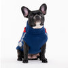 HUFT Argyle Pet Sweater - Red/Blue - Heads Up For Tails