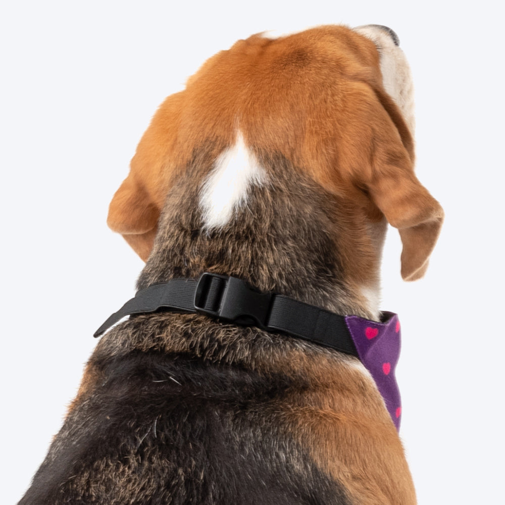 HUFT Personalised Sister - Pawtector & Keeper of Secrets Bandana - Heads Up For Tails