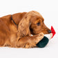 HUFT Mr. Mistletoe Cuddle Dog Toy (Red and Green) - Heads Up For Tails