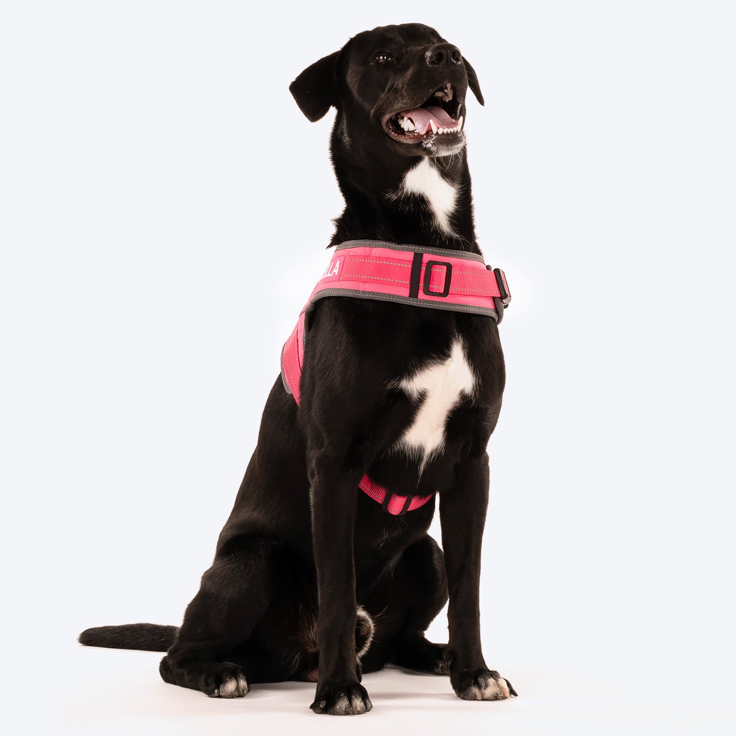 HUFT Easy On Dog Harness - Pink (Can be Personalised) - Heads Up For Tails