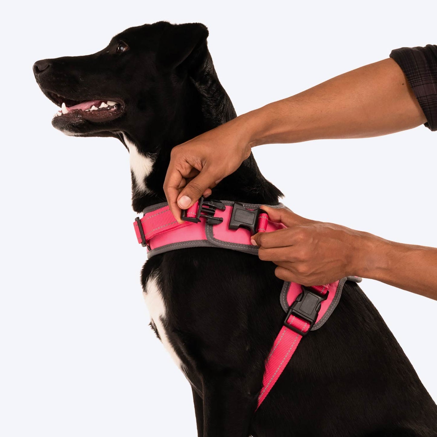 HUFT Easy On Dog Harness - Pink (Can be Personalised) - Heads Up For Tails