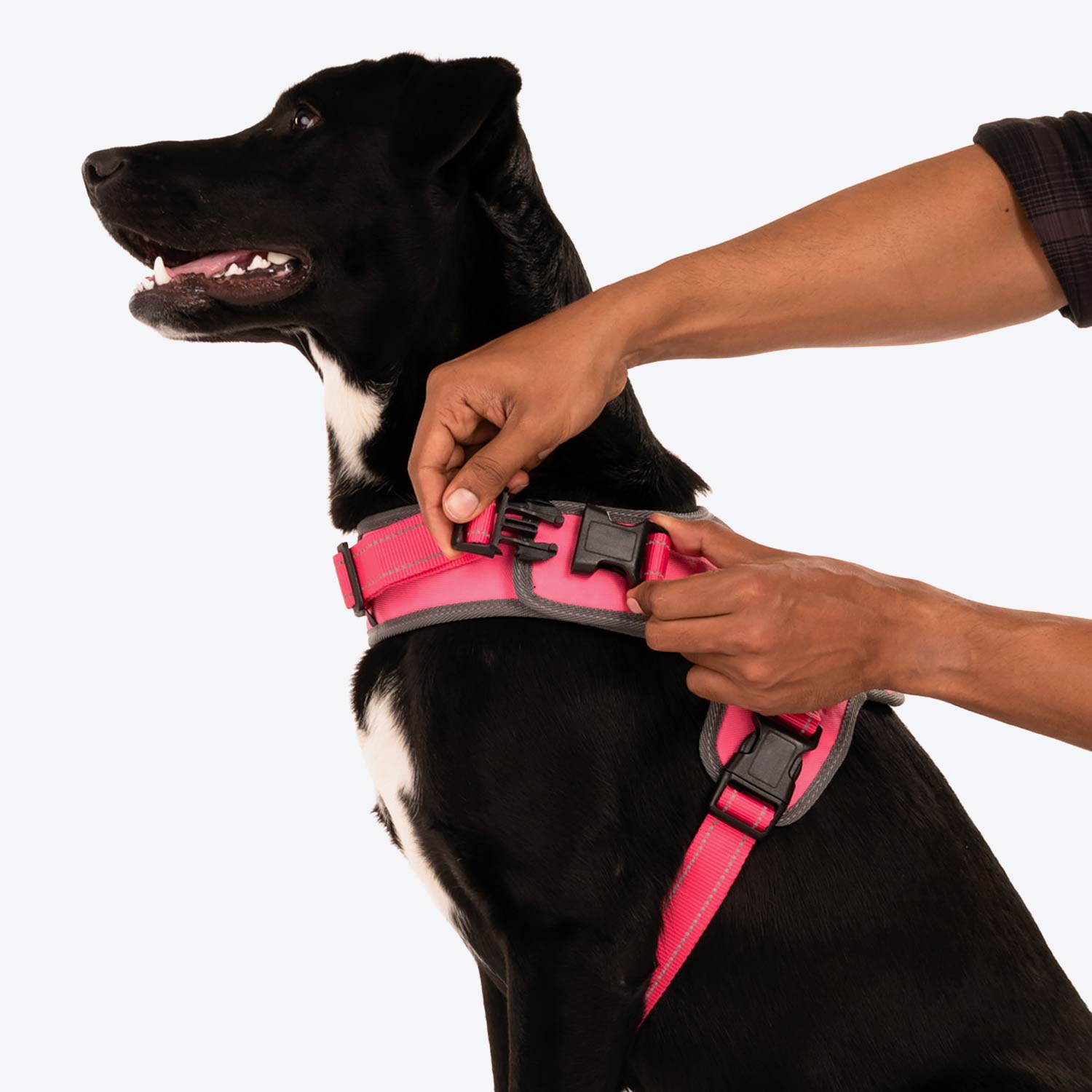 HUFT Easy On Dog Harness - Pink (Can be Personalised) - Heads Up For Tails