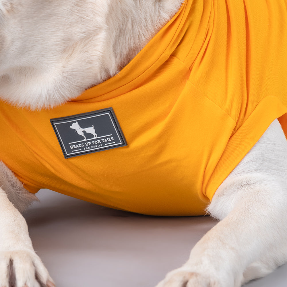 HUFT Best Dog Ever T-Shirt For Dog - Yellow - Heads Up For Tails