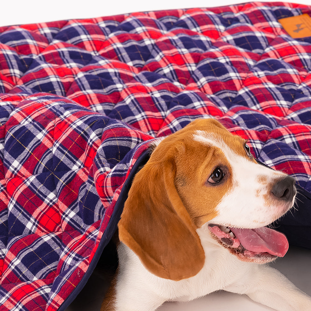 HUFT Check-It-Out Blanket For Pets - Maroon and Navy - Heads Up For Tails