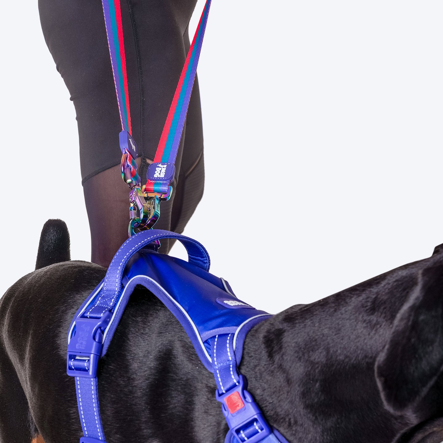 Dash Dog Zoom Walk Along Harness - Violet & Red - Heads Up For Tails