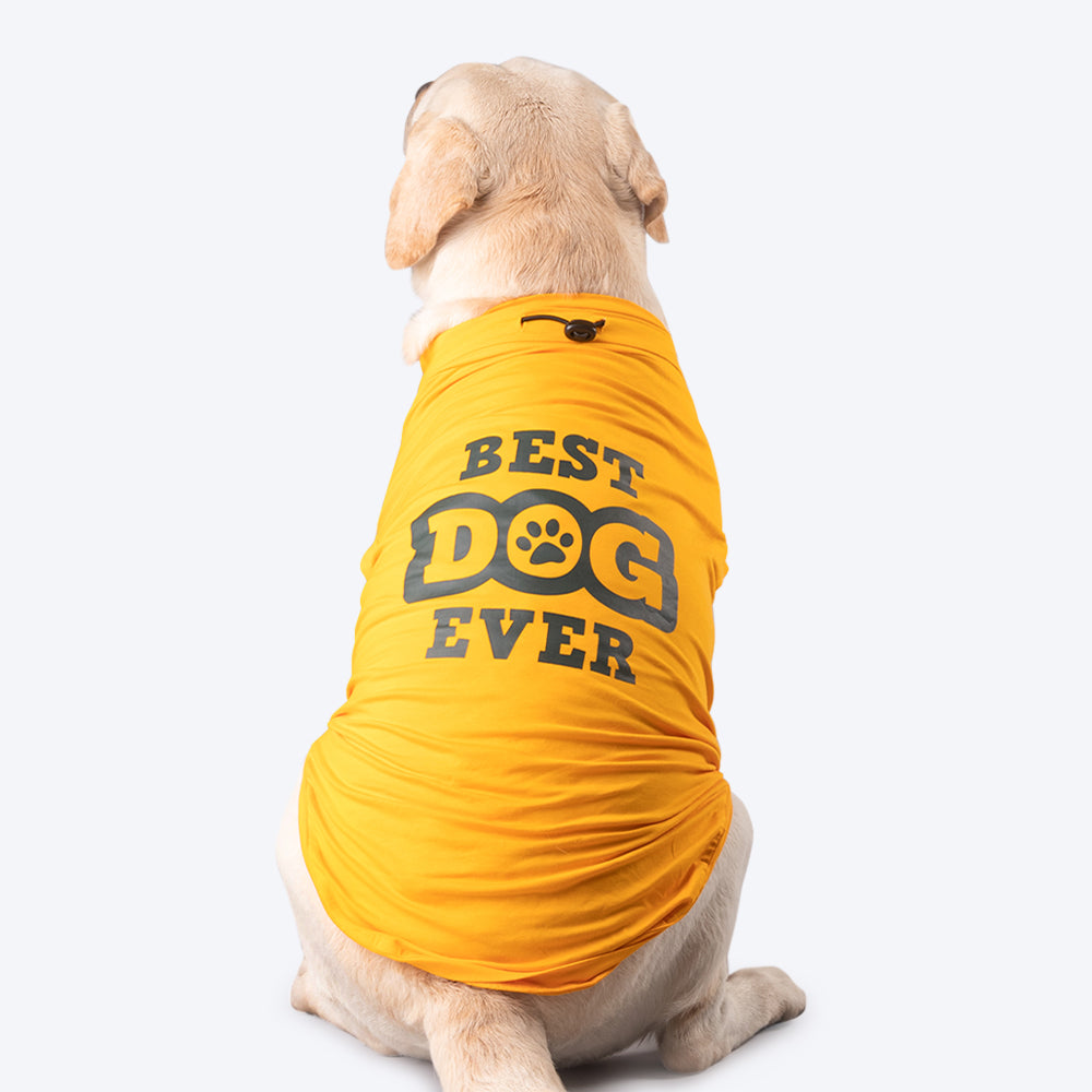 HUFT Best Dog Ever T-Shirt For Dog - Yellow - Heads Up For Tails