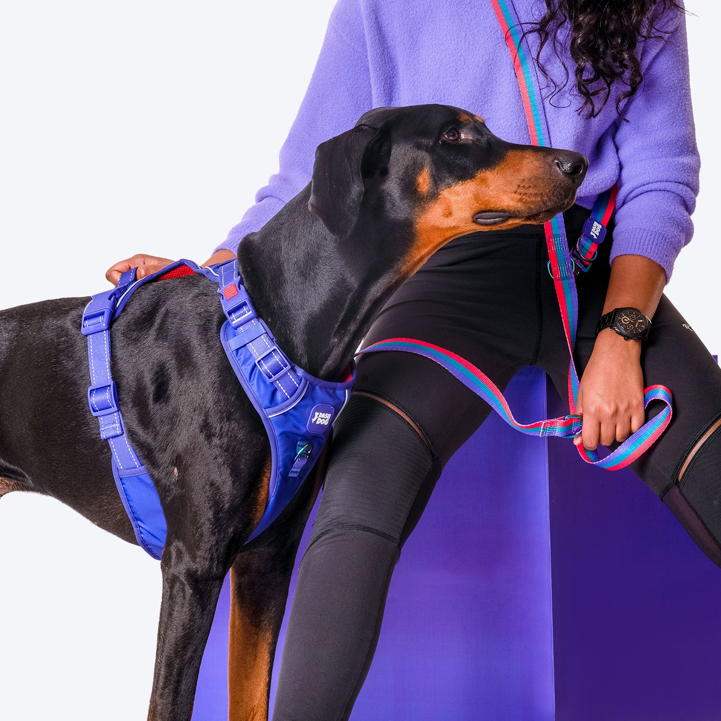 Dash Dog Zoom Walk Along Harness - Violet & Red - Heads Up For Tails